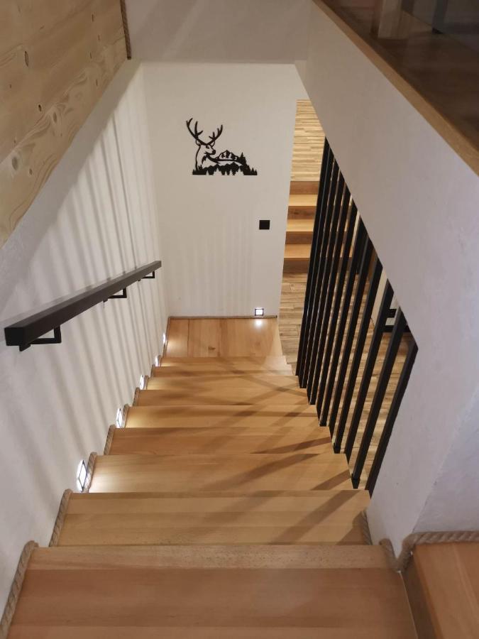 Apartament Skorusinka W Poblizu Chocholowskich Term Witów Exteriér fotografie