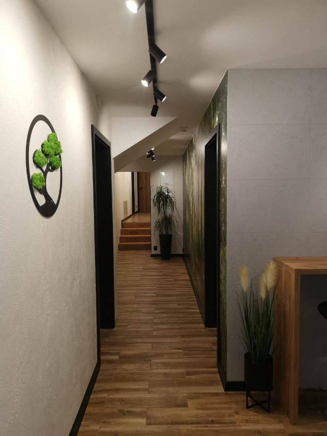 Apartament Skorusinka W Poblizu Chocholowskich Term Witów Exteriér fotografie