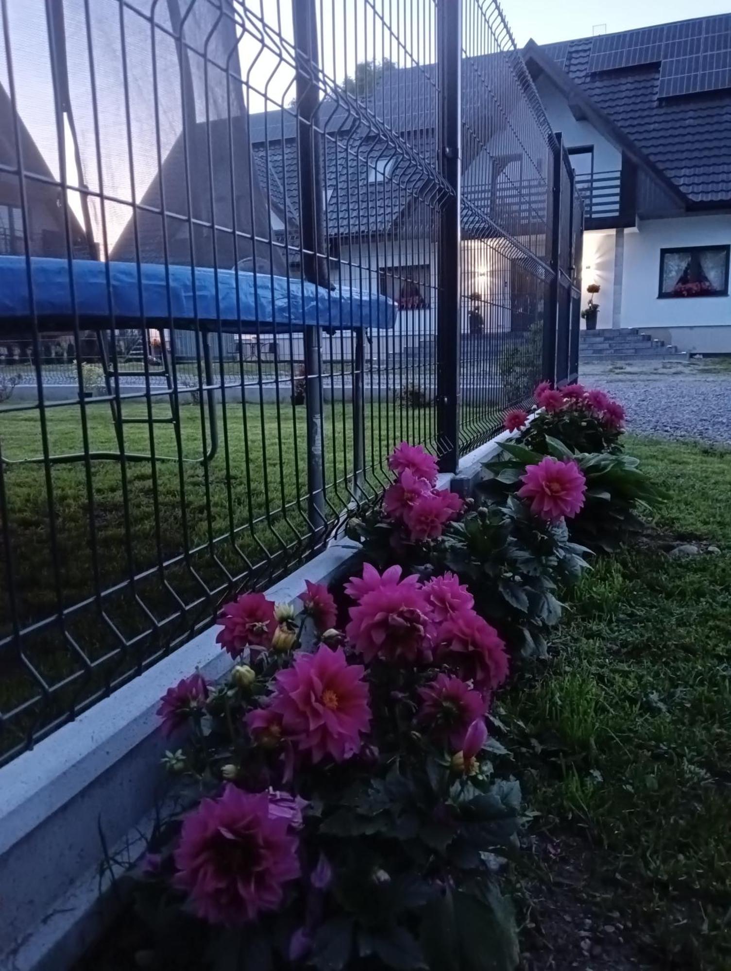 Apartament Skorusinka W Poblizu Chocholowskich Term Witów Exteriér fotografie